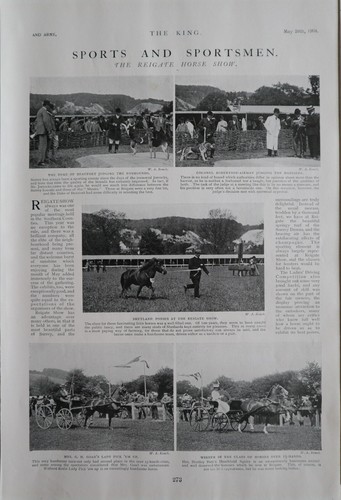 1904 imprimé reigate cheval - 1904,