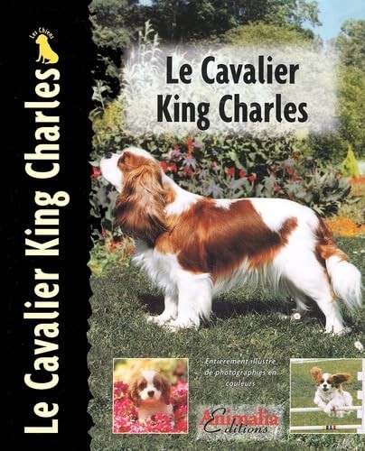 Cavalier king charles - le,