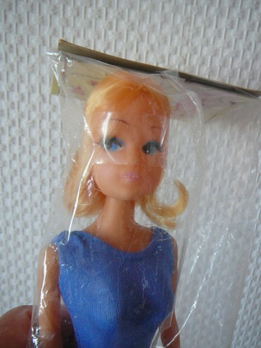 Belle poupee mannequin martine - poupee,