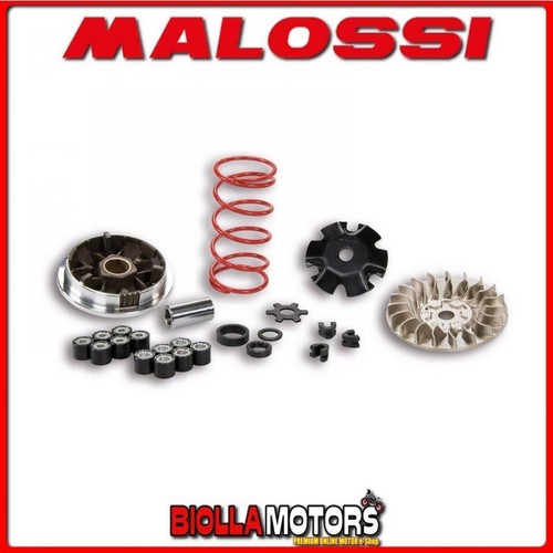 5113161 variateur malossi mhr - variateur,