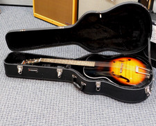 Vintage 60's Harmony H950