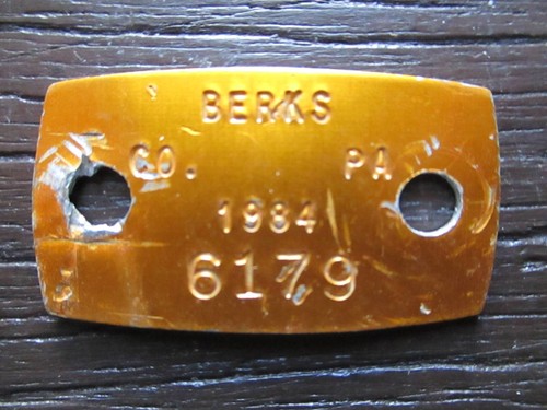Dog license tag - license, 258