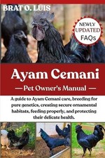 Brat O Luis Ayam Cemani