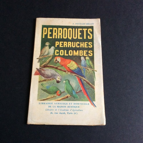 Perroquets perruches - _perroquets.,