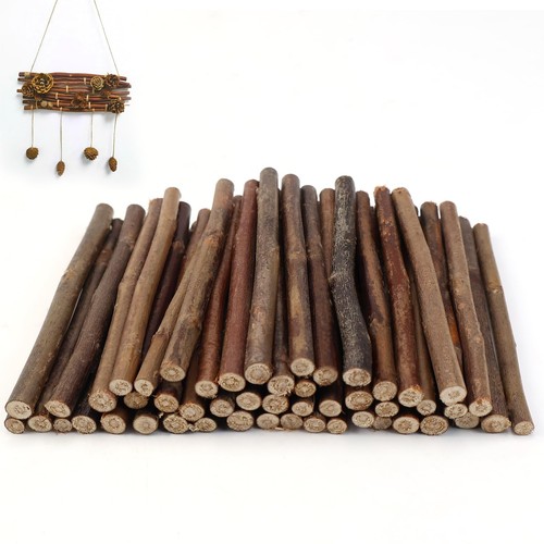 Pièces branche decorative - branche,