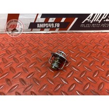 Calorstat Honda CBF 600 S