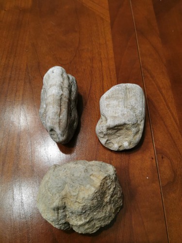 Lot gros et rare - 3,