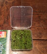 Enorme Portion 36 cm2 (6cm*6cm) Plante Aquarium Salvinia Minima Anti Algues !