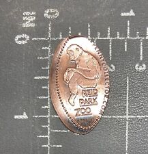 Reid Parc Zoo Capucins Singe