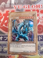 Dragon Blanc aux Yeux Bleus
