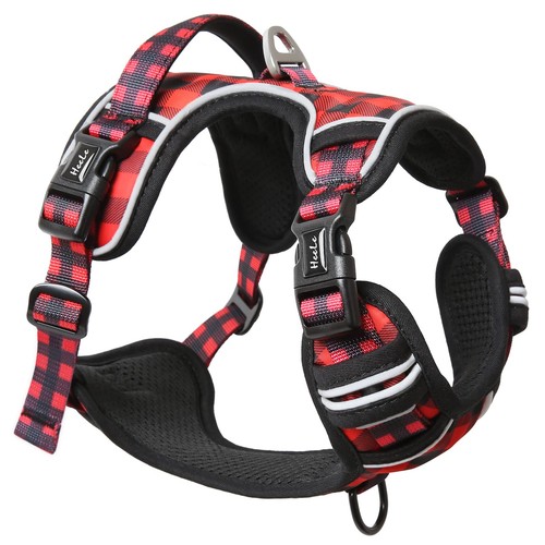 Heele harnais chien - pour, anti