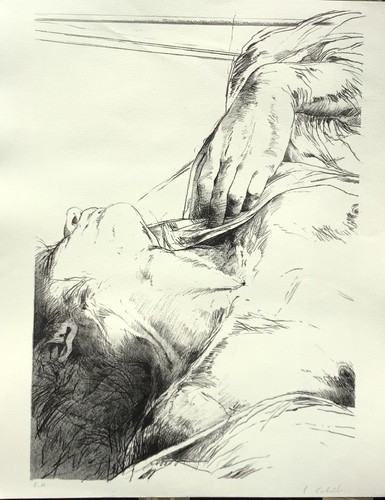 Luis caballero artiste - luis,