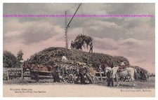 STACKING ENSILAGE  Kerry Series 'With the Settler' VINTAGE pc  PU1906  AUSTRALIA