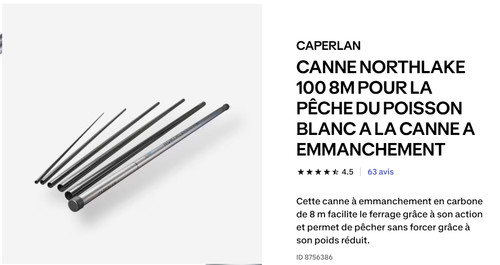 Canne pêche coup - au, en