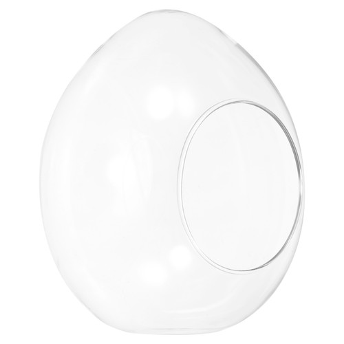 Globe terrarium air - terrarium,