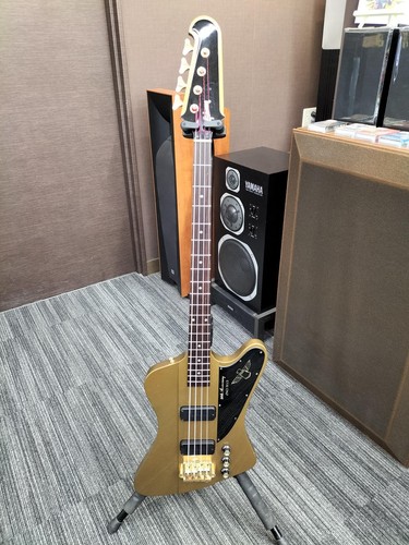 Gibson thunderbird 50th - gibson, /