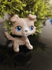 ✨️LPS Authentic Littlest