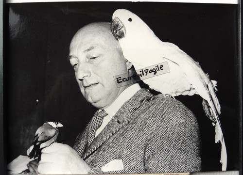 Photo presse 1964 - photo,