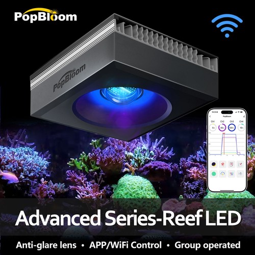 Popbloom 90w 120w 180w - 90w,