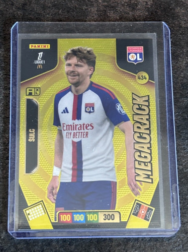 Panini adrenalyn sulc - xl,