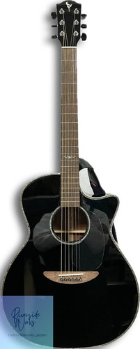 Guitare électrique acoustique