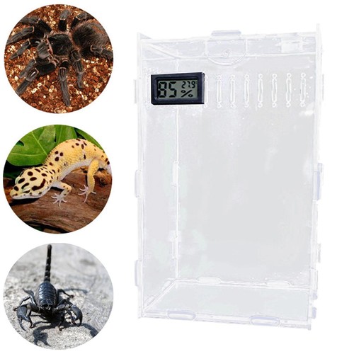 Terrarium acrylique pour - en,