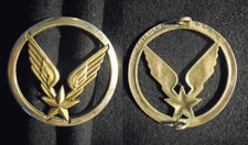 INSIGNE MILITAIRE DE BÉRET