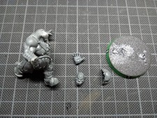 Warhammer Blood Bowl TEAM OGRE
