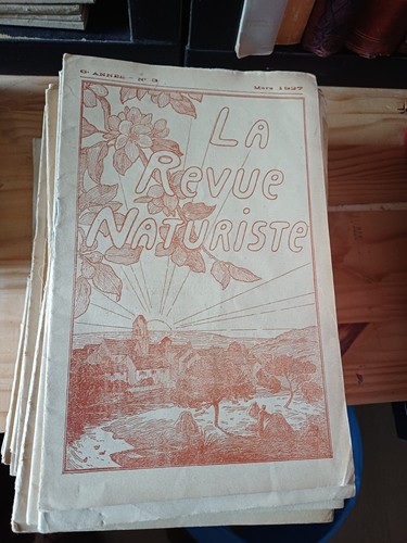 Rare lot numeros la - lot,