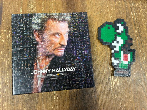 Johnny hallyday flashback tour
