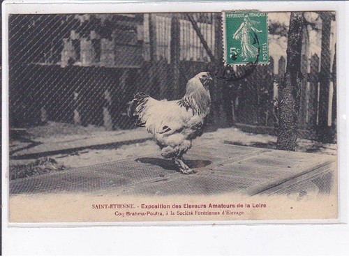 Saint etienne exposition des - saint-etienne:,
