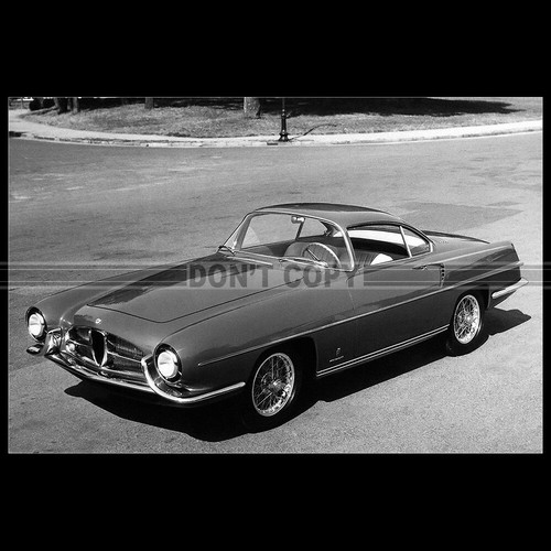 Photo 011854 alfa romeo 1900 - romeo,