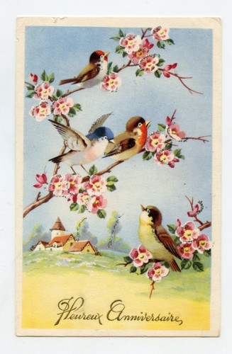 Chardonneret mésange - chardonneret,