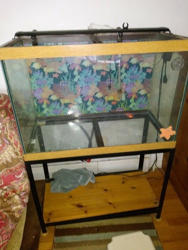 Aquarium gallon complete - aquarium,