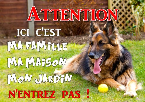 Plaque chien berger - berger, allemand