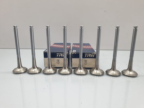 Exhaust valve 17067 trw - x,