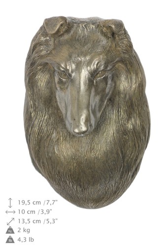 Berger des shetland - berger, statue