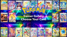 Pokemon Trainer Gallery -