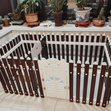 Enclos pour chien, parc