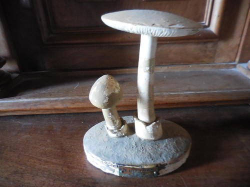 Champignons deyrolle pharmacie - deyrolle,