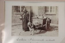 ALBUMIN PHOTO PRINT 11X17cm 1880 Flemish dairy DOG CARRETTE 11X17CM
