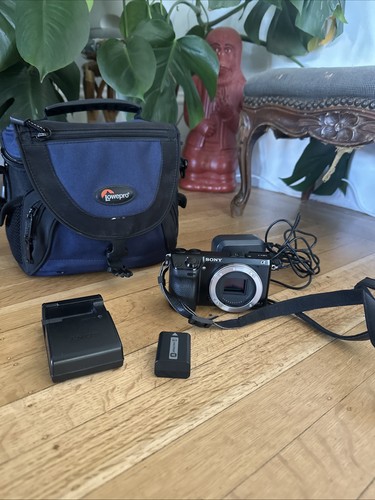 Sony mirrorless camera nex - sony, nex-7