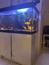 aquarium tank 300 liters