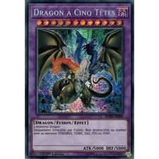 Carte Yu-Gi-Oh! Dragon à Cinq
