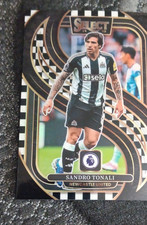 Panini Select Premier League