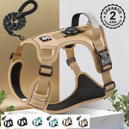 Harnais laisse pour - +, chien