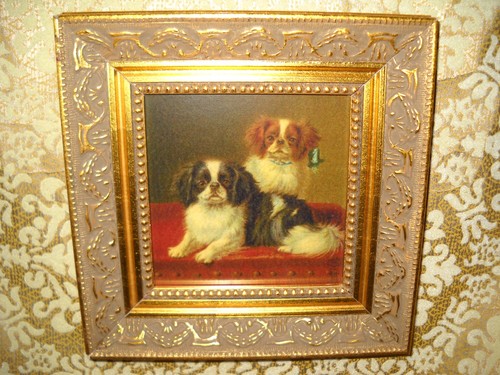 Cavalier king charles - cavalier, dogs