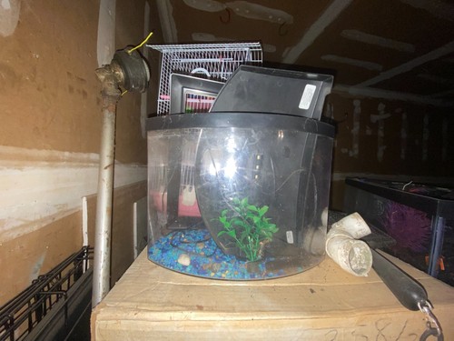 Aquarium tank - aquarium,