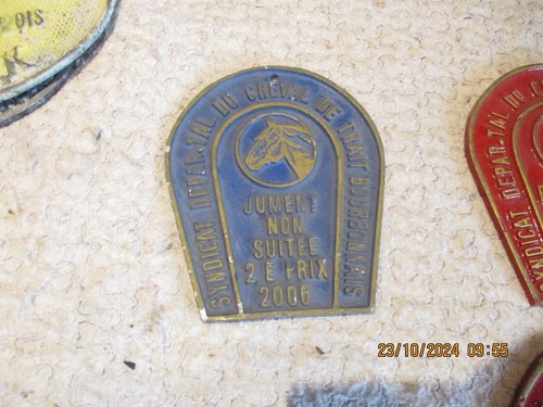 Ancienne plaque syndicat - ancienne,