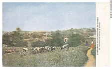 BP-BFP1-1122-CONGO - Compagnie